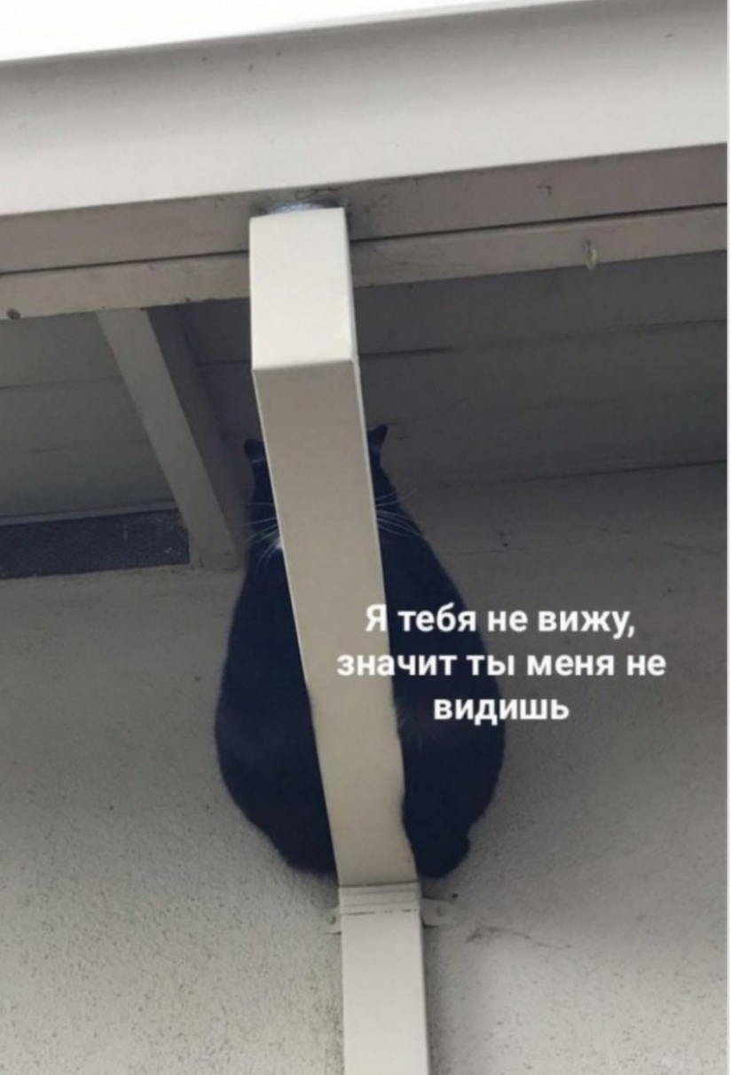 У тебя не вижу чит ты меня не видишь