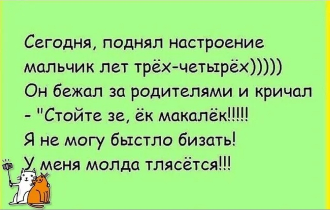 Сегодня поднял настроение мальчик лет трёх четырёх Он бежал за родителями и кричал Стойте зе ёк макалёк Я не могу бьтстло бизать меня молда тлясётся