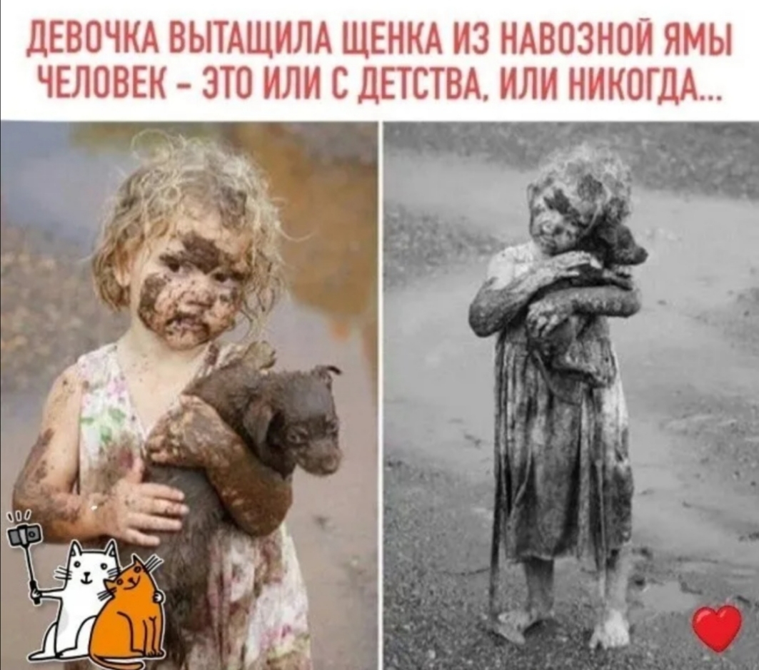 ДЕВОЧКА ВЫТАЩИЛА ЩЕНКА ИЗ НАВОЗНОЙ ЯМЫ ЧЕЛОВЕК ЭТО ИЛИ С ДЕТСТВА ИЛИ НИКОГДА