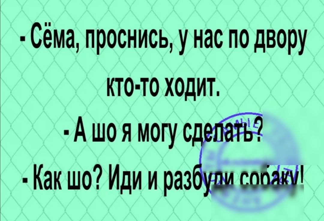 Сёма проснись у нас по двору кто то ходит А шо я могу ст Как шо Иди и раз собЩ