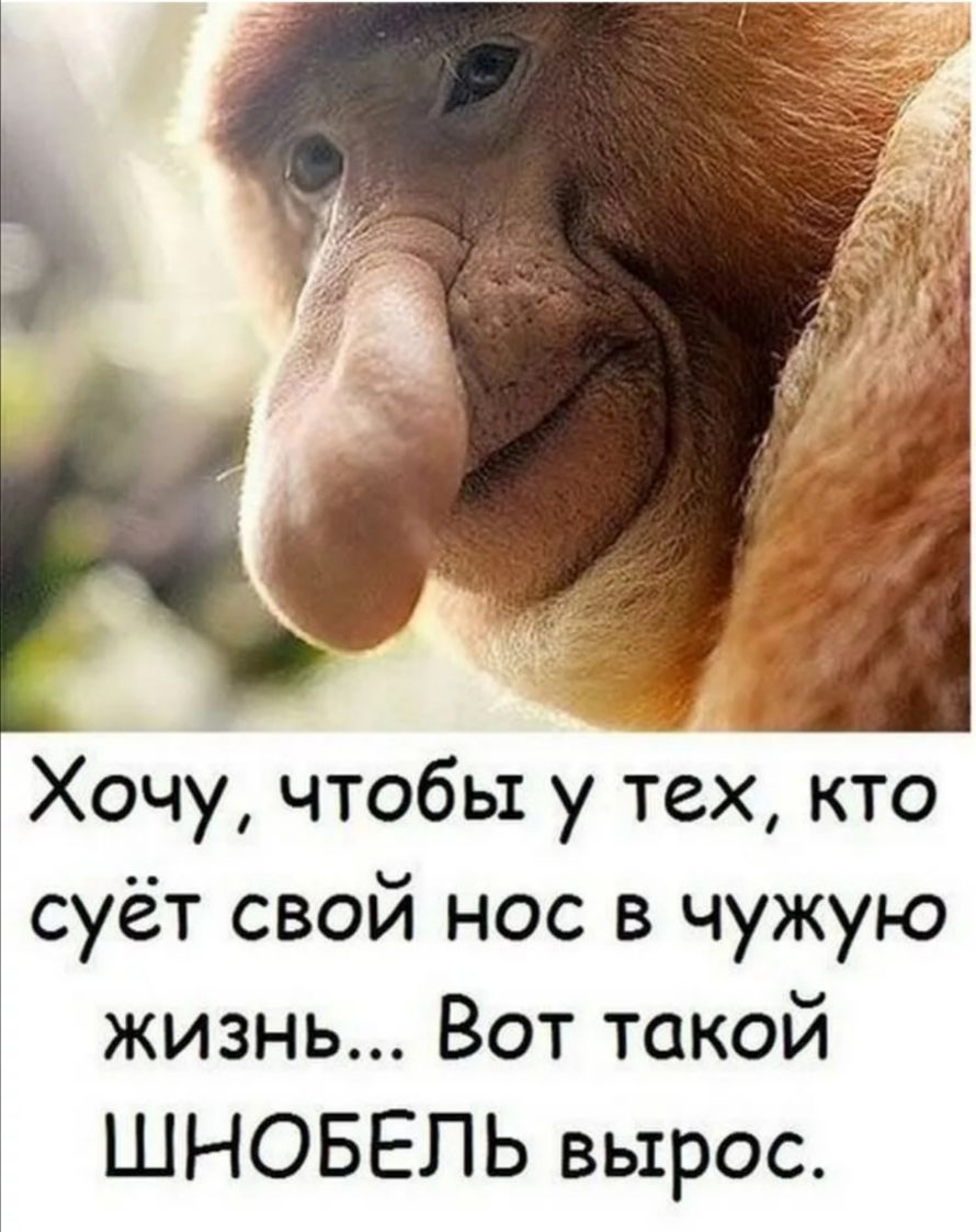 Хочу чтобы у тех кто суёт свой нос в чужую жизнь Вот такой ШНОБЕПЬ вырос