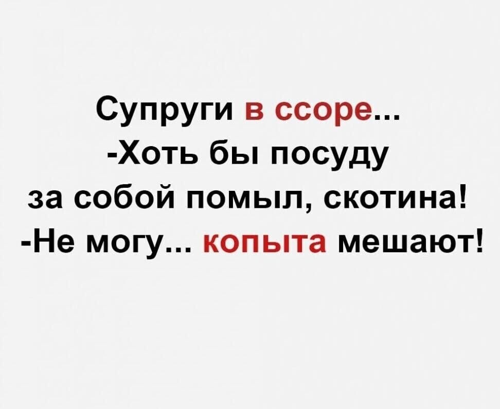 Супруги в ссоре Хоть бы посуду за собой помыл скотина Не могу копыта мешают