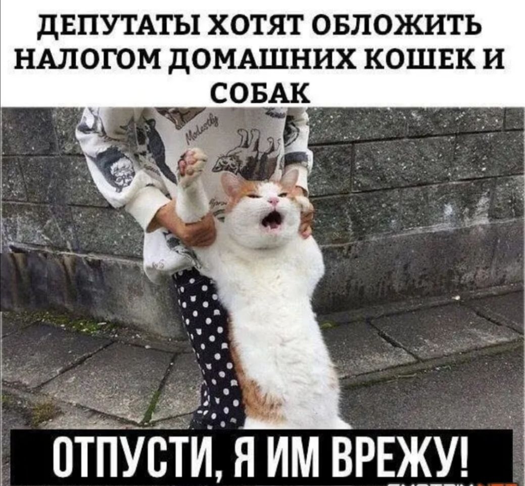 дЕПУТАТЫ ХОТЯТ ОБЛОЖИТЬ НАЛОГОМ дОМАШНИХ КОШЕК И _ СОБАК отТіустия Им врвжуэ