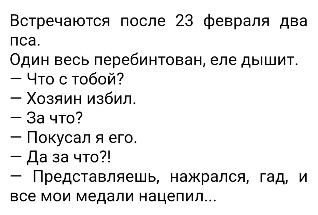 Встречаются после 23 февраля два пса Один весь перебинтован еле дышит Что с тобой Хозяин избил За что Покусал я его Да за что Представляешь нажрался гад и все мои медали нацепил