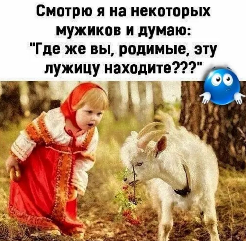Смотрю я на некоторых мужиков и думаю Где же вы родимые эту лужи Б У