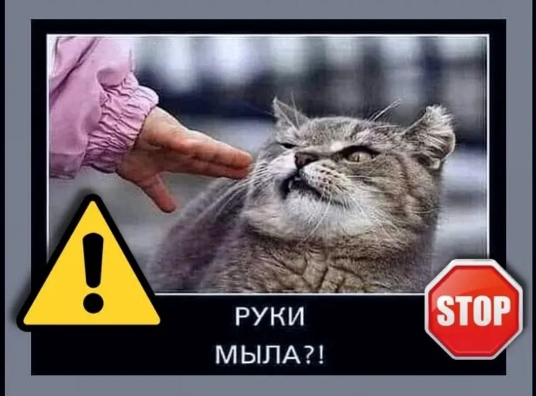 МЫЛА