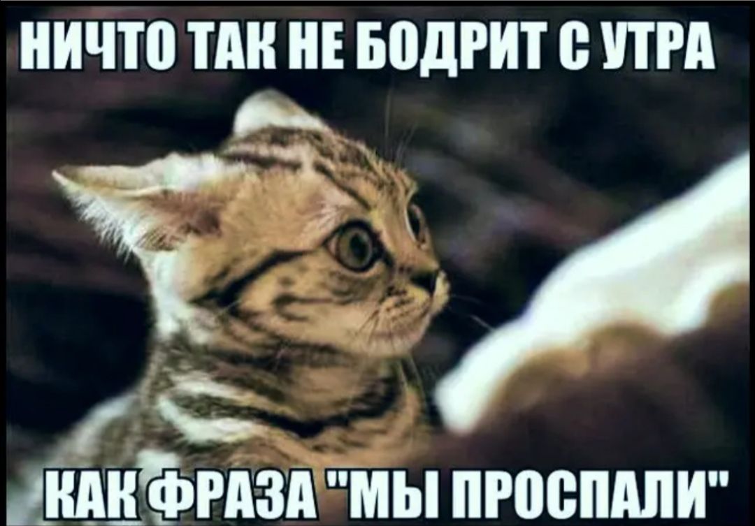 ничто П Е БпдРИТ 0 ПРА _ С инди гдзптмы проспдпи