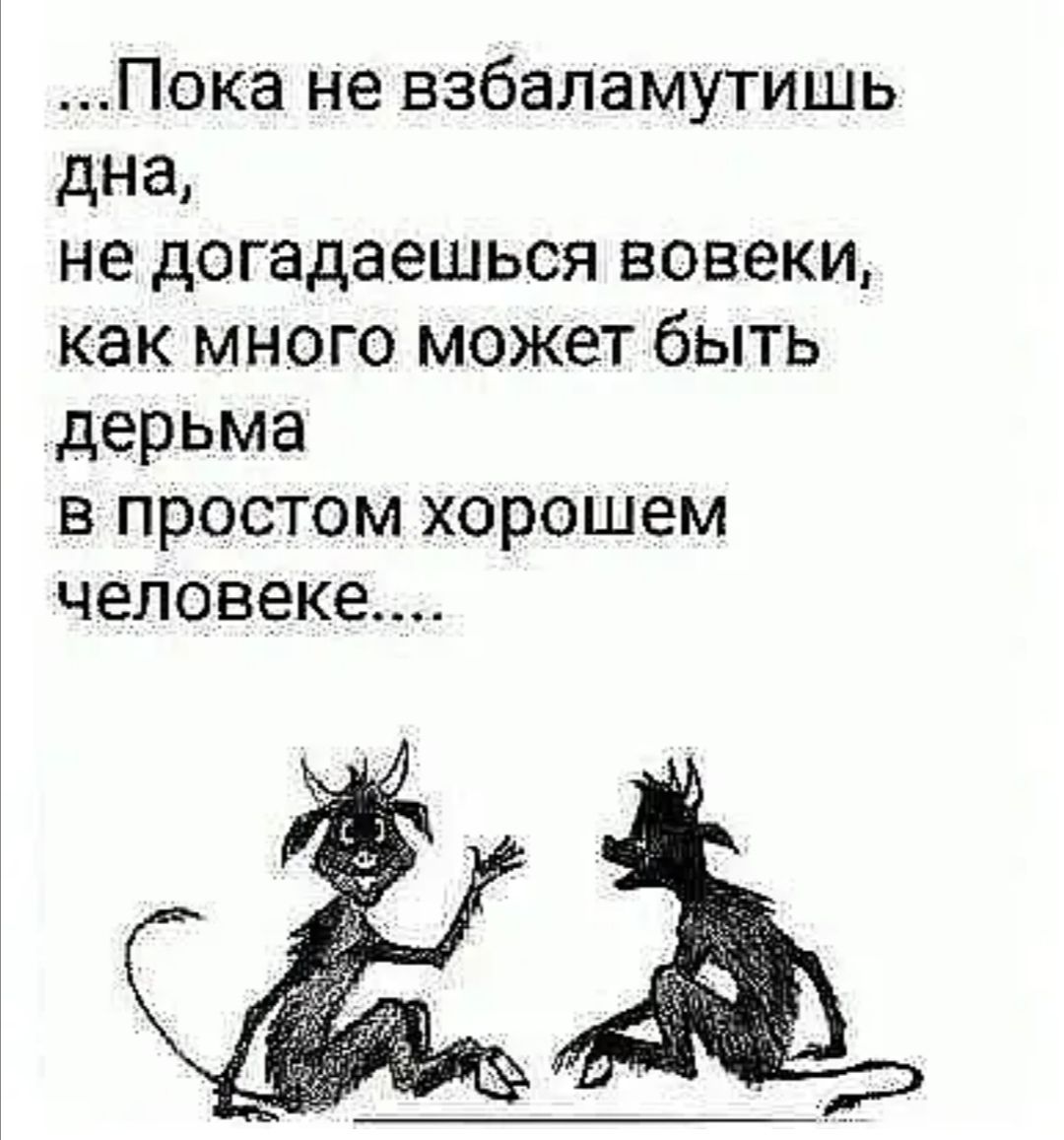 Пок а не взбаламутишь дна не догадаешься вовеки как много может быть дерьма в простом хорошем человеке
