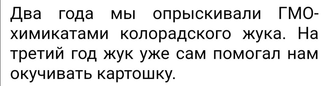 Два года мы опрыскивали ГМО химикатами колорадского жука На третий год жук уже сам помогал нам окучивать картошку