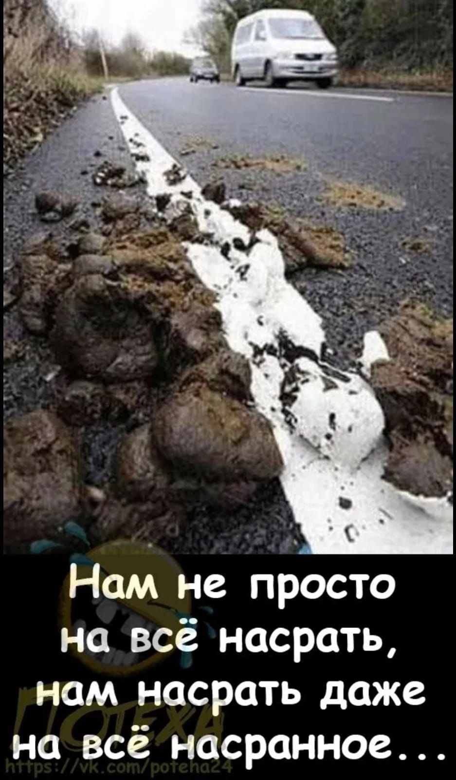 _ Нам не просто на всё насрать нам насрать даже на всё насранное