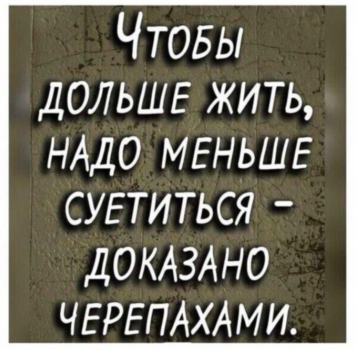 ЧТОБЫ дольшг жить НАДО МЕНЬШЕ СУЕТИТЬСЯ ДОКАЗА НО ЧЕРЕПАХА М И