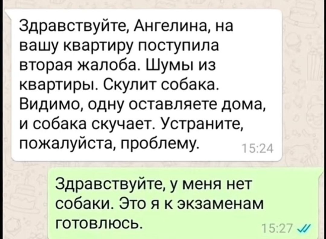 Здравствуйте Ангелина на вашу квартиру поступила вторая жалоба Шумы из квартиры Скупит собака Видимо одну оставляете дома и собака скучает Устраните пожалуйста проблему Здравствуйте у меня нет собаки Это я к экзаменам готовлюсь