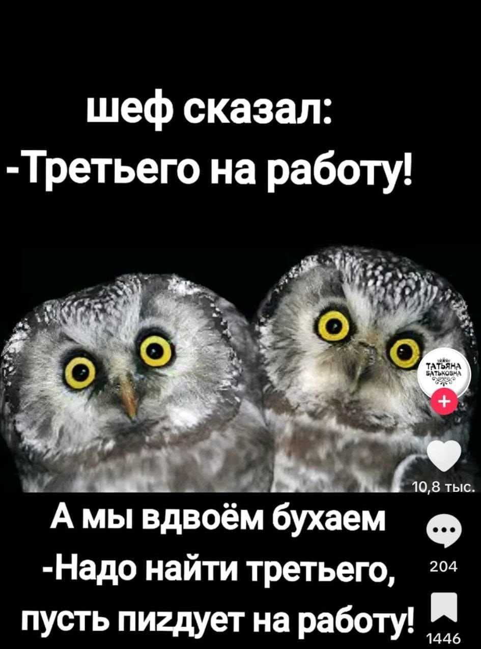 шеф сказал Третьего на работу А мы вдвоем бухаем Ф Надо найти третьего г пусть пигдует на работу я 1446