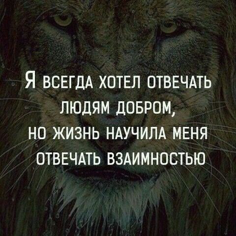 Я ВСЕГДА ХОТЕЛ ОТВЕЧАТЬ ЛЮДЯМ ДОБРОМ НО ЖИЗНЬ НАУЧИЛА МЕНЯ ОТВЕЧАТЬ ВЗАИМНОСТЬЮ