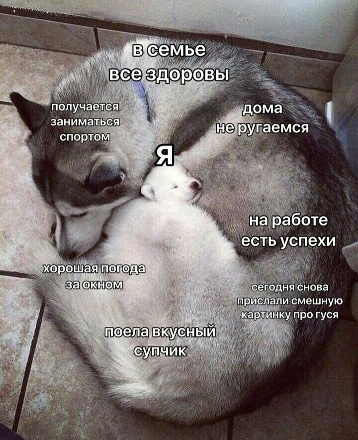 пепэда эюнем няЪнова смешную артинк про гуся