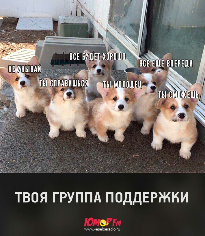 ТВОЯ ГРУППА ПОДДЕРЖКИ иммихезёоегайю ш