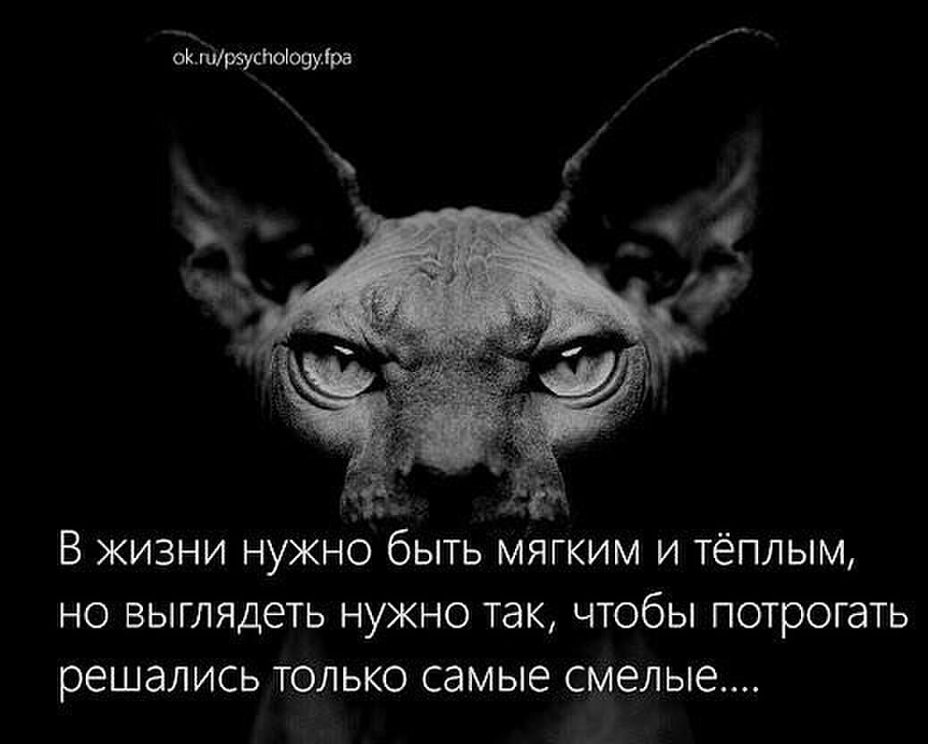 оЁЫрзусйоіоууіра ёё В жизни нужно быть мягким и тёплым но выглядеть нужно так чтобы потрогать решались ТОЛЬКО самые смелые