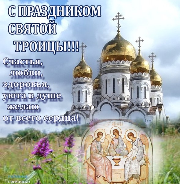 вятюй тршищыт В 7 Т 1