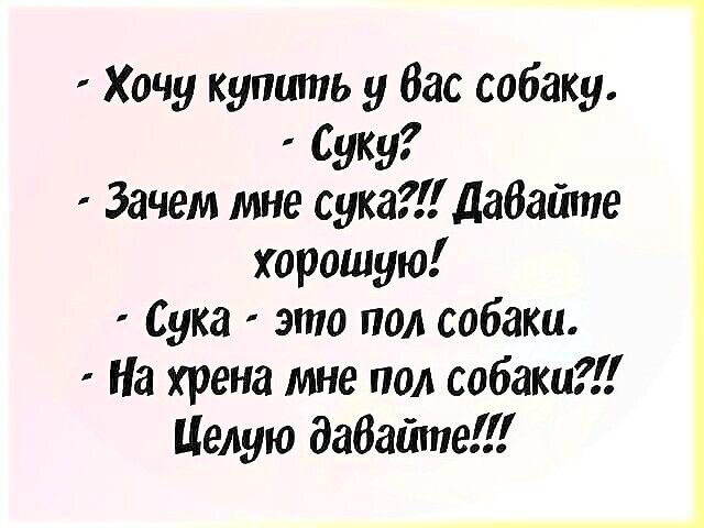 Хочу купить у бас собаку Суку Зачем мне сукадабатпе хорошую Сука это под собаки На хрена гта под собаки Целую задайте