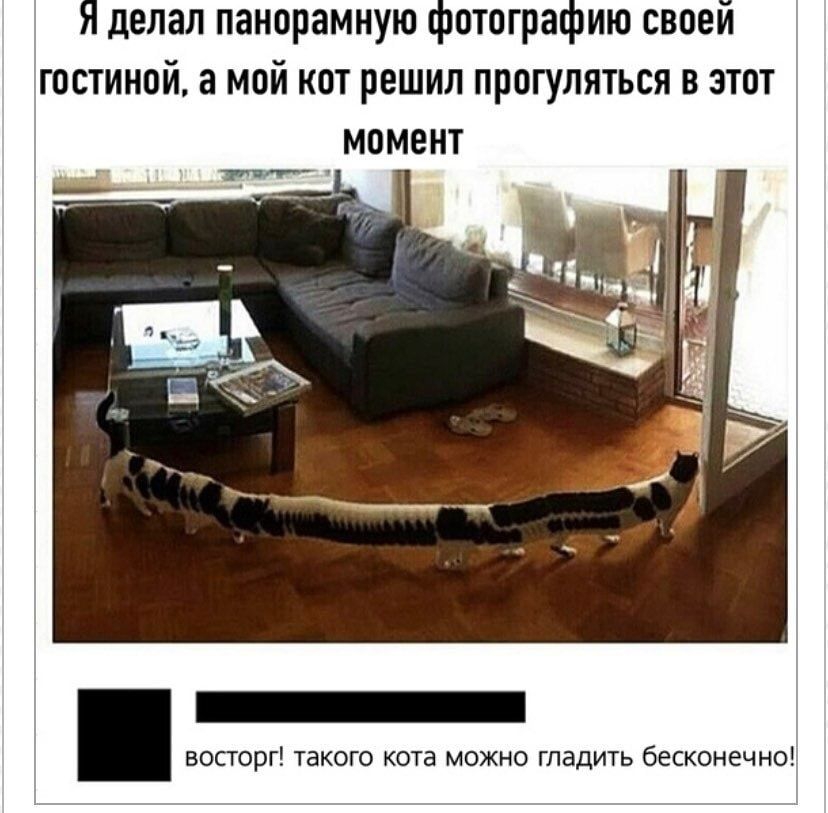 Ядепал панорамную фотографию своей гостиной а мой кпт решил прогуляться в зтпт мпмеит восторг такою Ыа можно таять бескпиечно