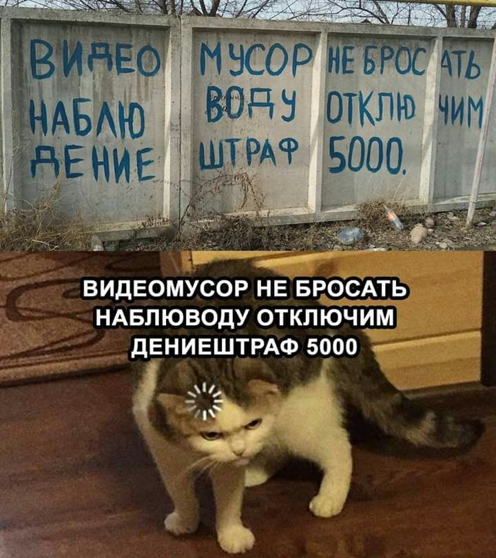 ТРР НЕ Бл б АЕГЕ В 3 Т4 Ч видеомусог не виден ндвпюводу отключит дЕНИЕШТРАФ 5900
