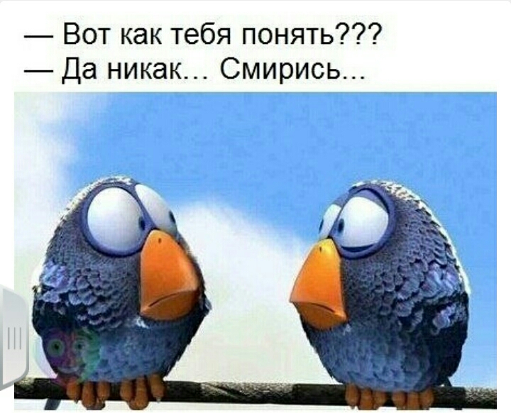 Вот как тебя понять Да никак Смирись