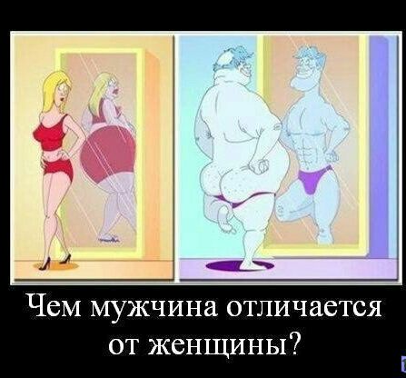 Чем мужчина отличается от женщины