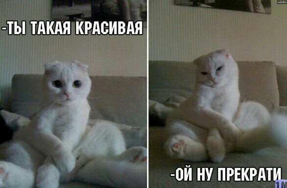 ТЫ ТАКАЯ КРАСИВАЯ _ 0Й НУ ПРЕКРАщ