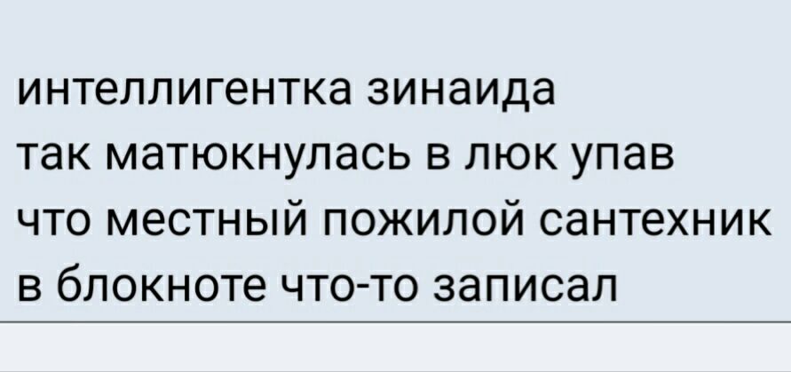 интеллигентка зинаида так матюкнулась в люк упав что местный пожилой сантехник в блокноте что то записал