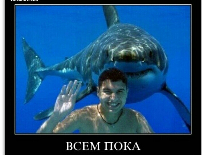 ВСЕМ ПОКА
