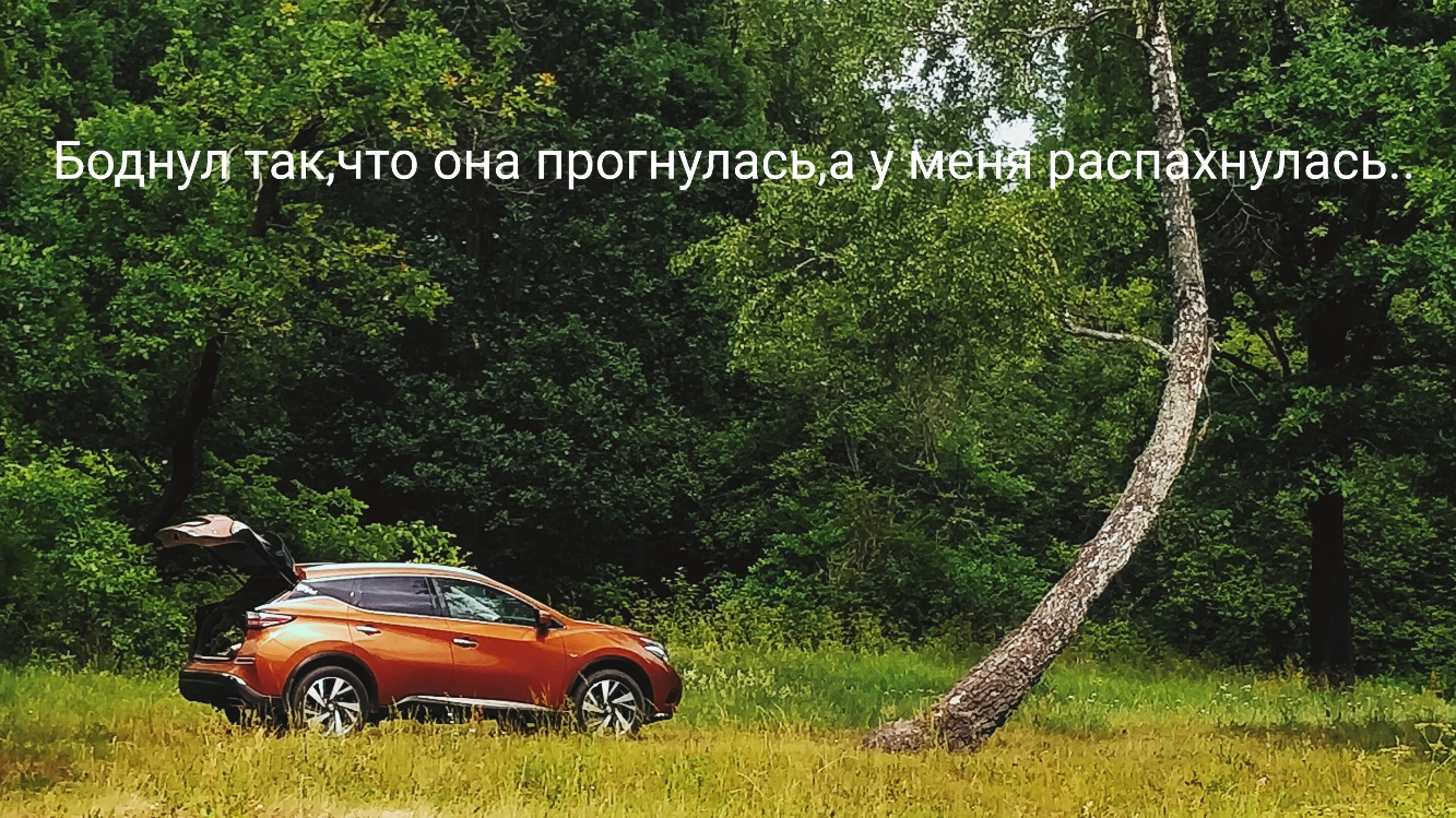 3 Боднул таклчто она прогнула