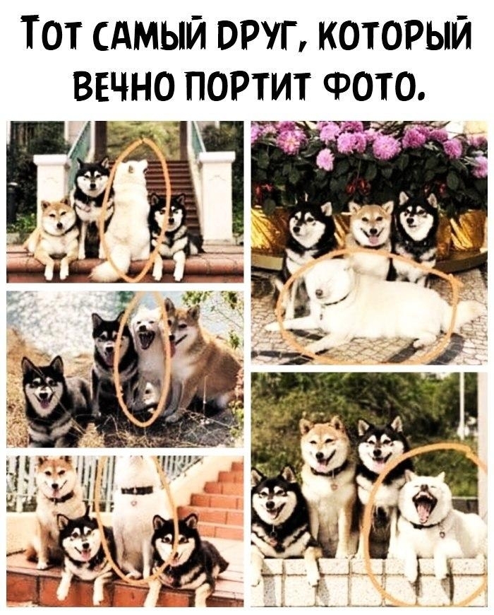 ТОТ САМЫЙ ОРУП КОТОРЫЙ ВЕЧНО ПОРТИТ сРОТО Г