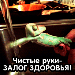 Чистые руки ЗАЛ0Г ЗДОРОВЬЯ