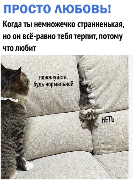 ПРОСТО АЮБОВЬ Когда ты немножечко страиненькая но он всё равно тебя терпит потому что любит пожалуйста будь нормальной
