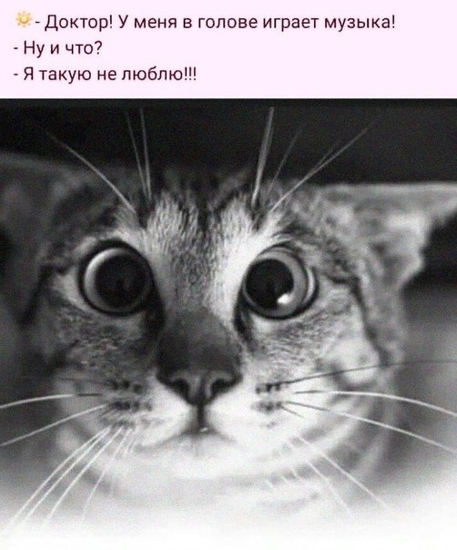 Доктор У меня в голове играет музыка Ну и что Я такую не люблю