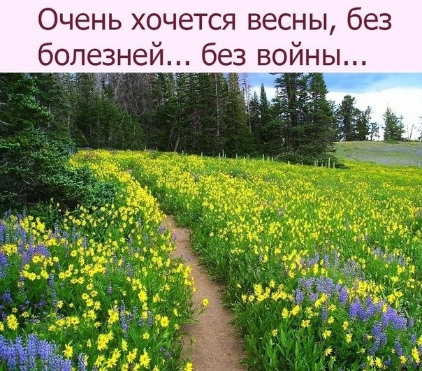 Очень хочется весны без бопниезе без войны
