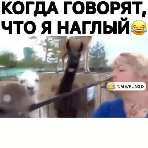 КОГДА говорун что НАГЛЫИьъ