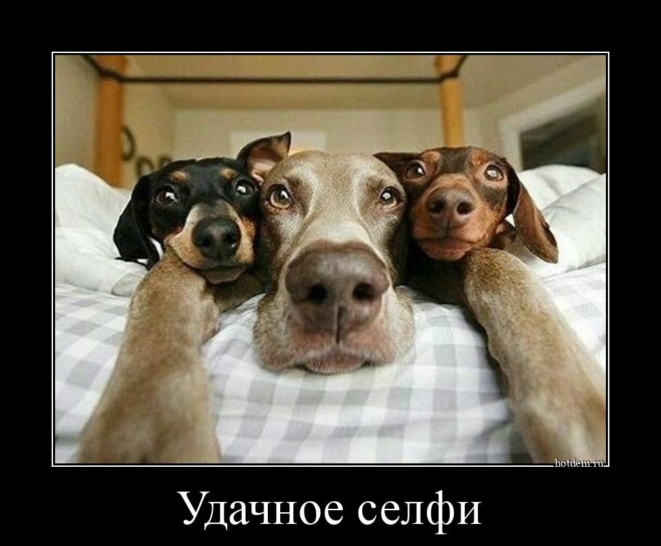 Удачное селфИ
