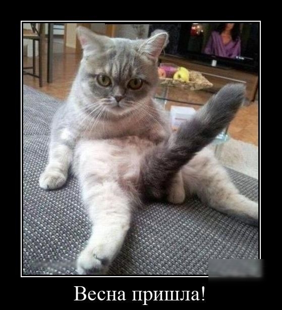 Весна пришла