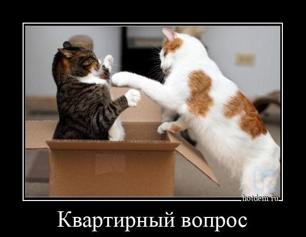 Квартирный вопрос