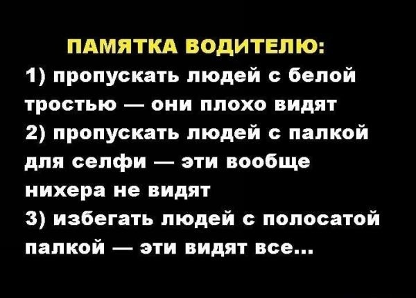 ПАМЯТКА ВОДИТЕПЮ 1 пропускать людей с белой тростью они плохо видят 2 пропускать людей палкой для сепфи эти вообще нихера не видят 3 избегать людей с полосатой папкой эти видят все