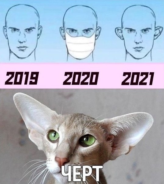 с гшн гпгп 2д21