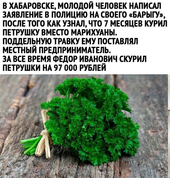 В ХАБАРОВСКЕ МОЛОДОЙ ЧЕЛОВЕК НАПИСАЛ ЗАЯВЛЕНИЕ В ПОЛИЦИЮ НА СВОЕГО БАРЫШ ПОСЛЕ ТОГО КАК УЗНАЛ ЧТО 7 МЕСЯЦЕВ КУРИЛ ПЕТРУШКУ ВМЕСТО МАРИХУАНЫ ПОДДЕЛЬНУЮ ТРАВКУ ЕМУ ПОСГАВЛЯЛ МЕСТНЫЙ ПРЕДПРИНИМАТЕЛЬ ЗА ВСЕ ВРЕМЯ ФЕДОР ИВАНОВИЧ СКУРИЛ ПЕТРУШКИ НА 97 000 РУБЛЕЙ