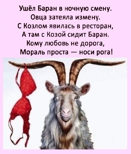 Ушёл Баран в ночную смену Овца затеяла измену С Козпом явилась в ресторан А там с Козой сидит Баран Кому любовь не дорога Мораль проста носи рога