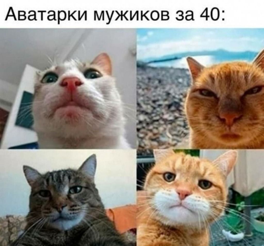 Аватарки мужиков за 40