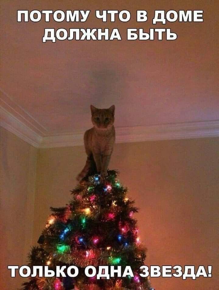 ПОТОШ ЧТО В ПОЦ