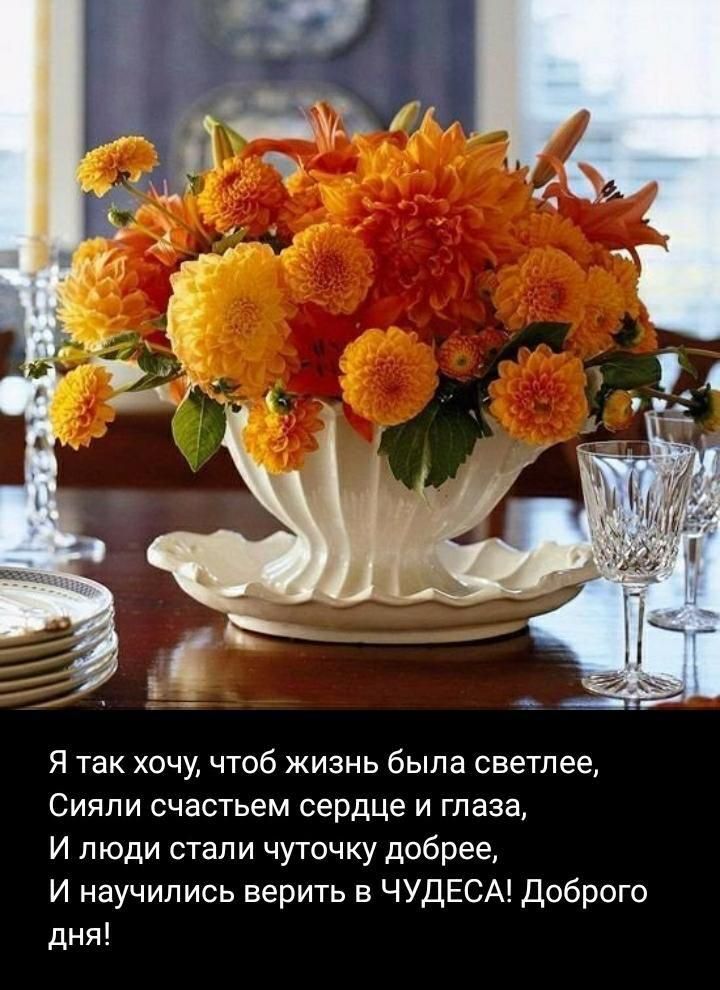 Я так хочу чтоб жизнь была светлее Сияли счастьем сердце и глаза И люди стали чуточку добрее И научились верить в ЧУДЕСА Доброго дня