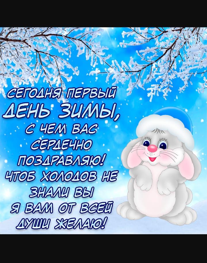 СЕГдАНЯ ПЕРВЫЕ зимы щит и зимин замт