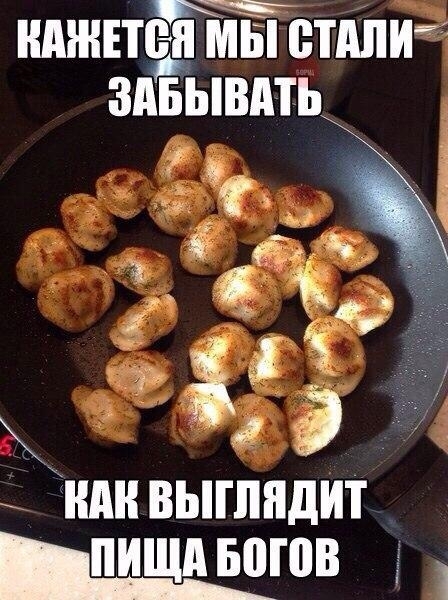 КАЖЕТСЯ МЫ ВПШИ ШШ ВЫПШДИТ _ПИЩМЮШВ 1