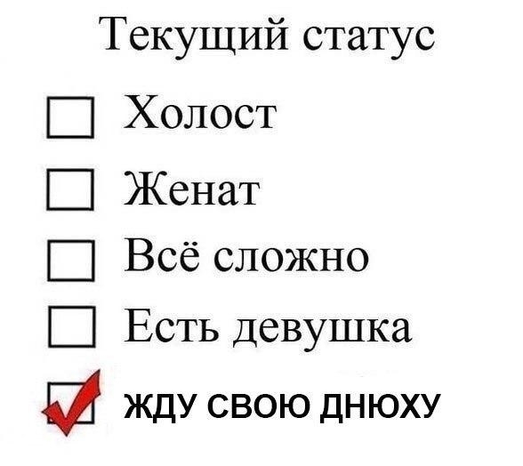 Текущий статус Холост Женат Всё сложно Есть девушка и жду свою днюху